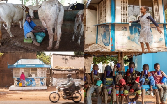 LED supports Mali’s local dairy industry