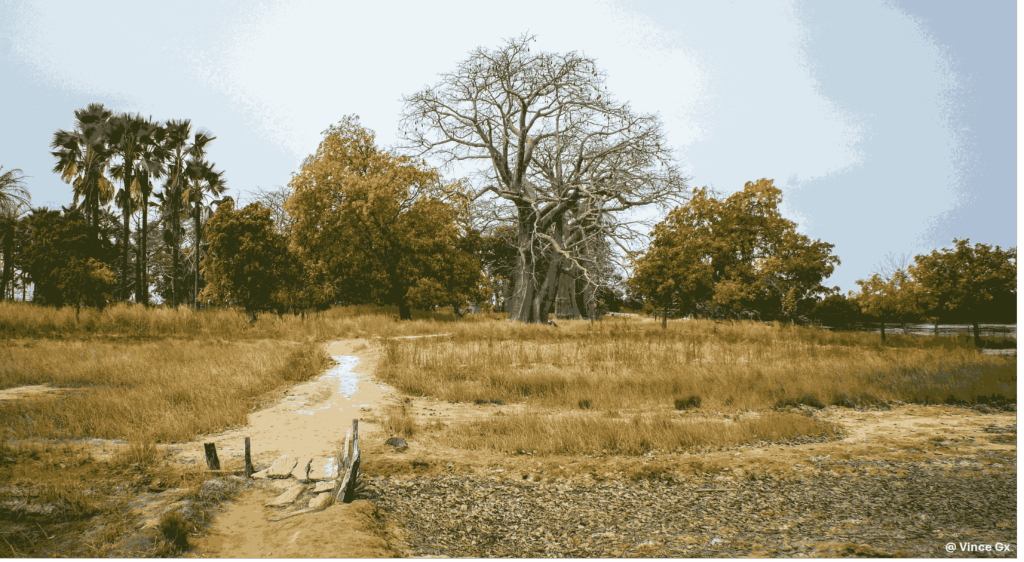 Dry savanna landscape with a narrow path, tall grasses, and scattered trees under a clear sky