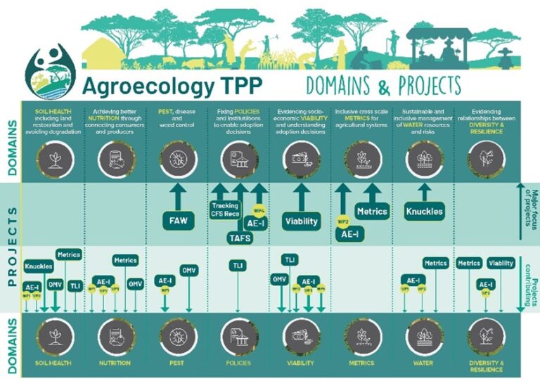 Übersicht von Agroökologie-Domänen und Projekten mit Fokus auf Boden, Ernährung und Wasser