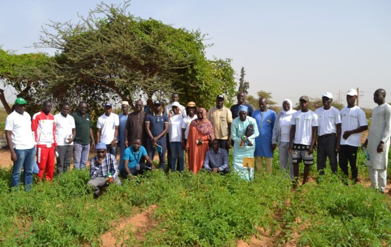 Gruppe von Menschen in landwirtschaftlicher Umgebung unter einem Baum
