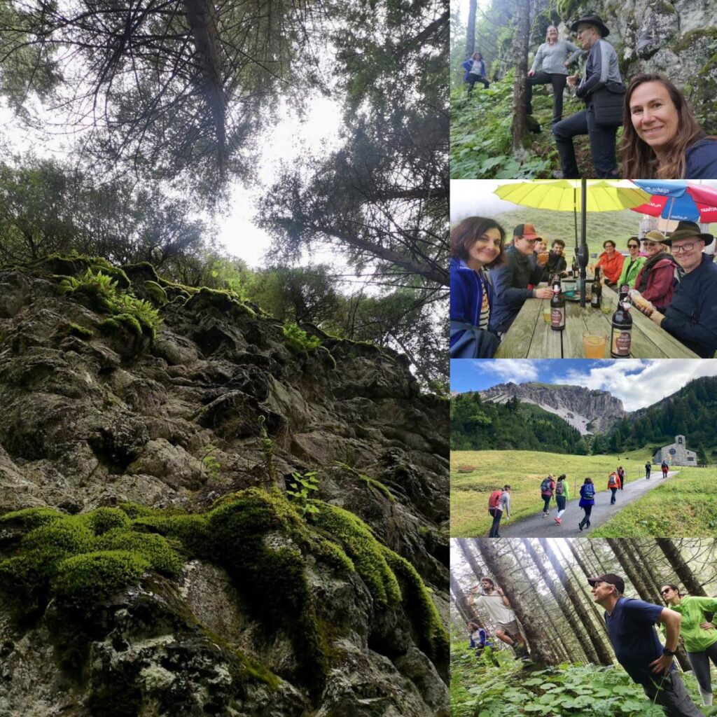 Group of hikers exploring a mossy forest trail and alpine landscape