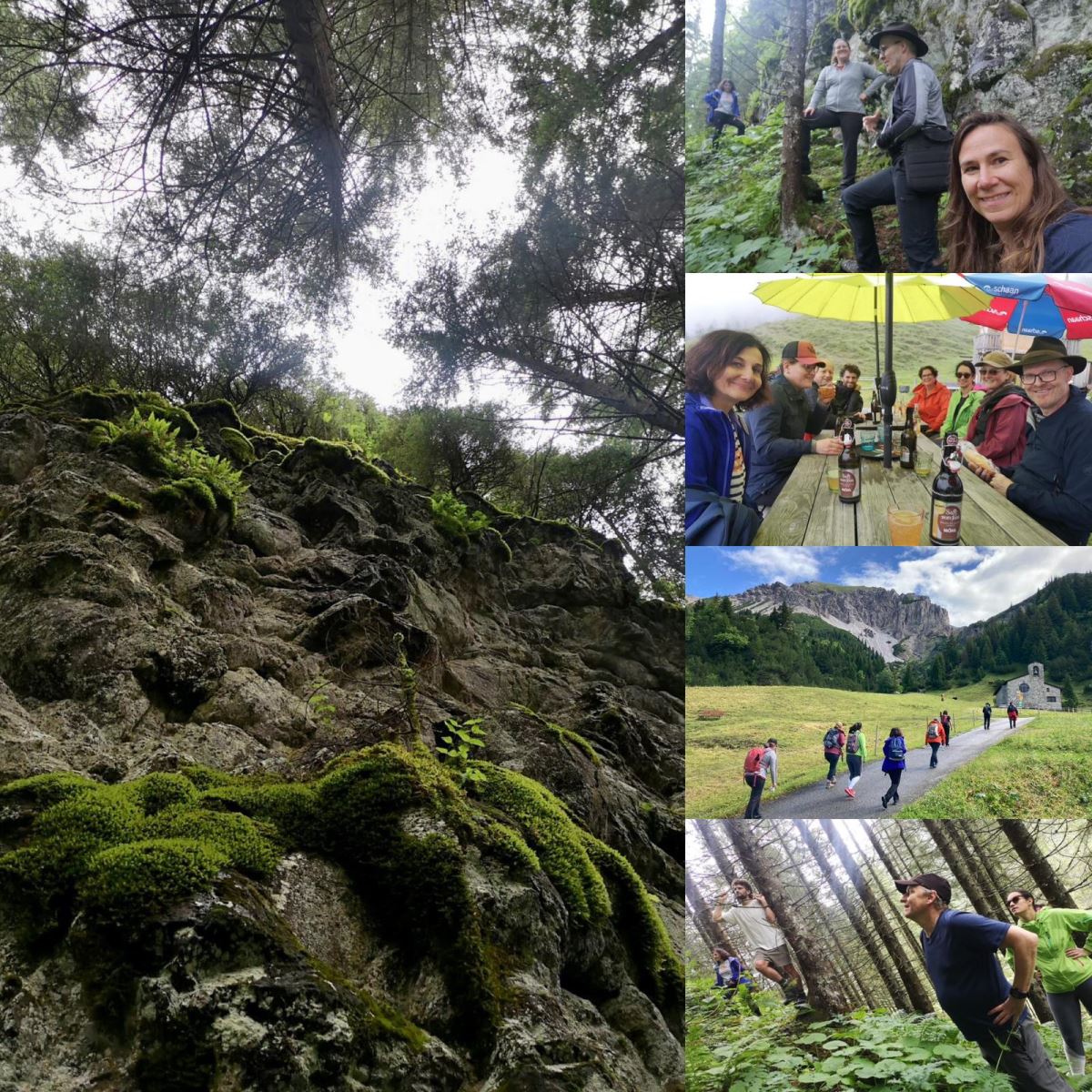 LED team explores Liechtenstein’s geology