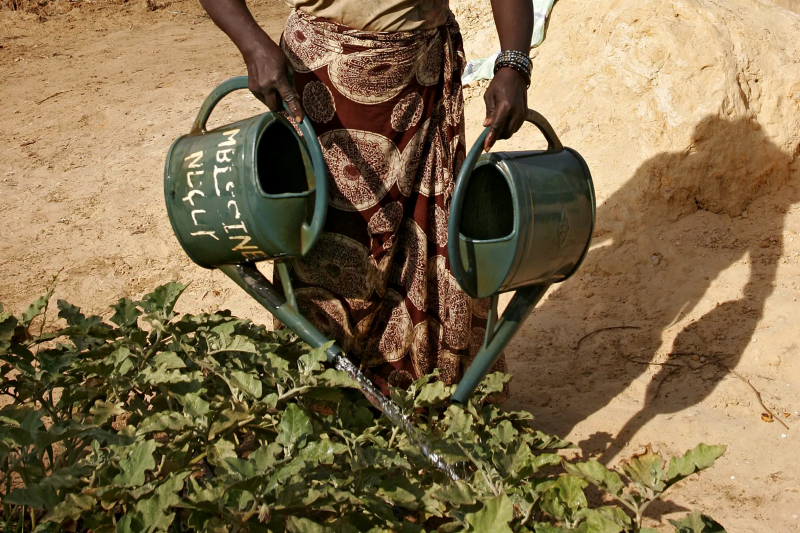 Agroecological transformation driven by local communities