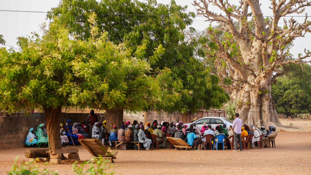 Community meeting under large trees with seated villagers and a facilitator outdoors