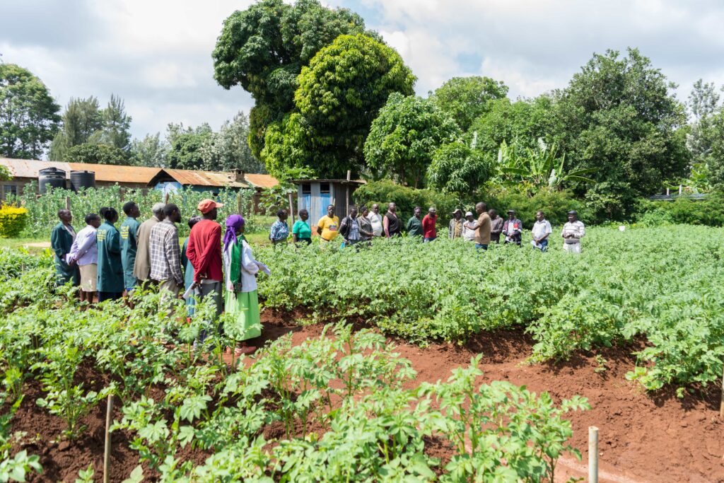 Community group gathers in a lush field for an agricultural training session