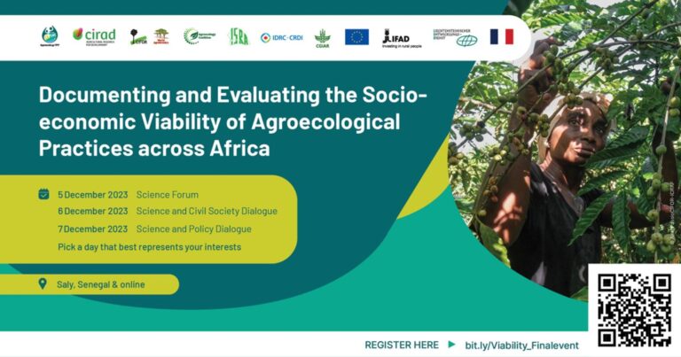 Frau erntet Früchte in afrikanischer Plantage, Konferenzdetails sichtbar