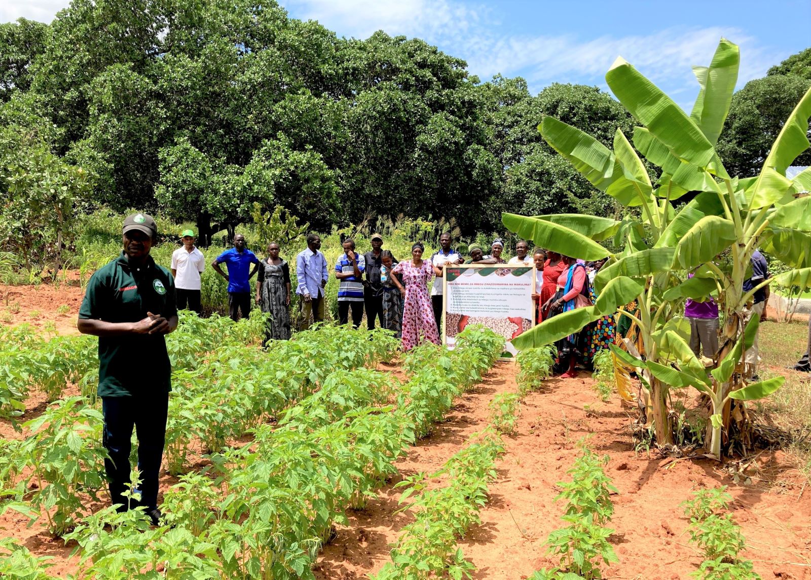 Official praise from Tanzania for Swissaid’s CROPS4HD project