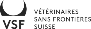 Dark LED banner with faint VSE logo and French text for veterinary services