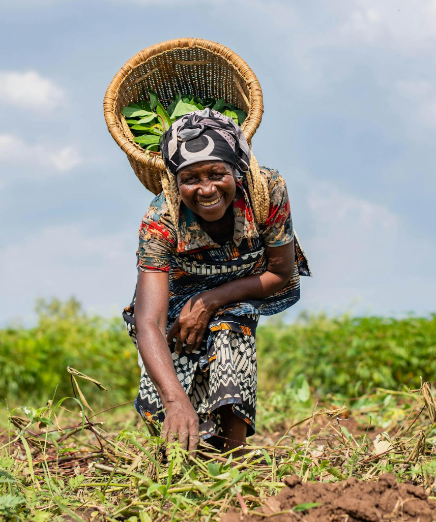 Strengthening rural livelihoods and food security through SME financing