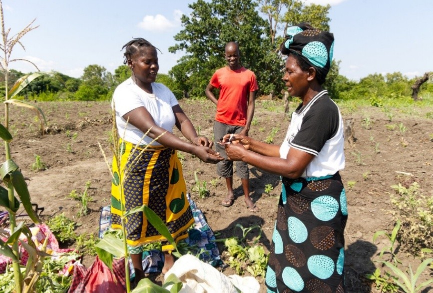 Improving the climate resilience of agricultural communities