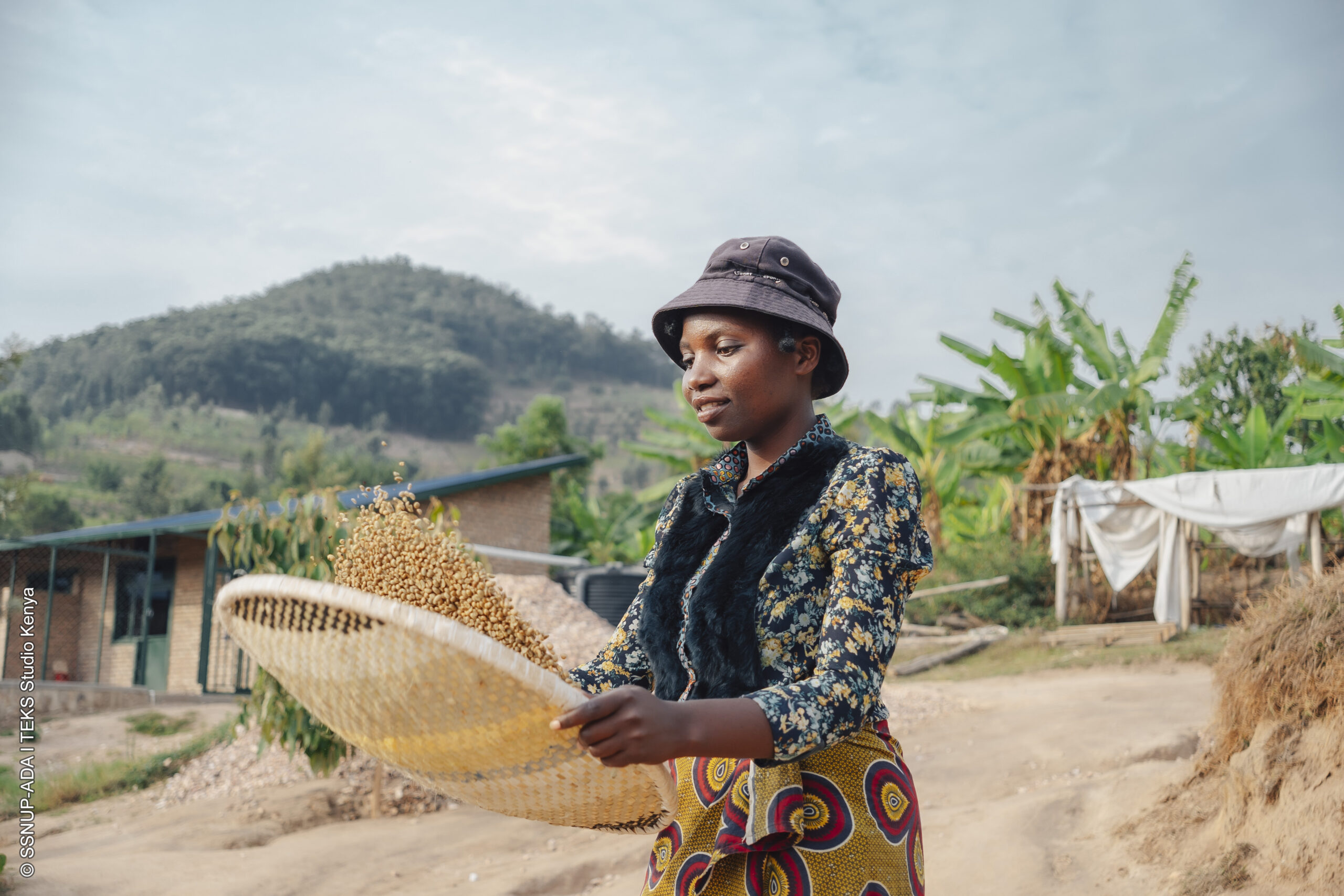 Sustainable Food Systems