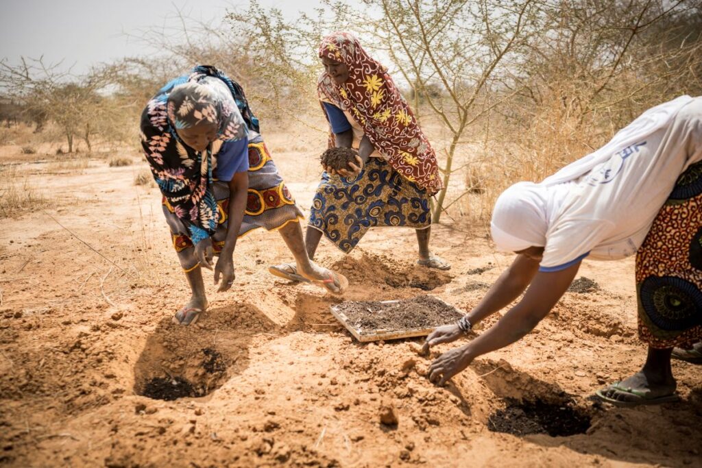 Frauen in Burkina Faso auf dem Feld