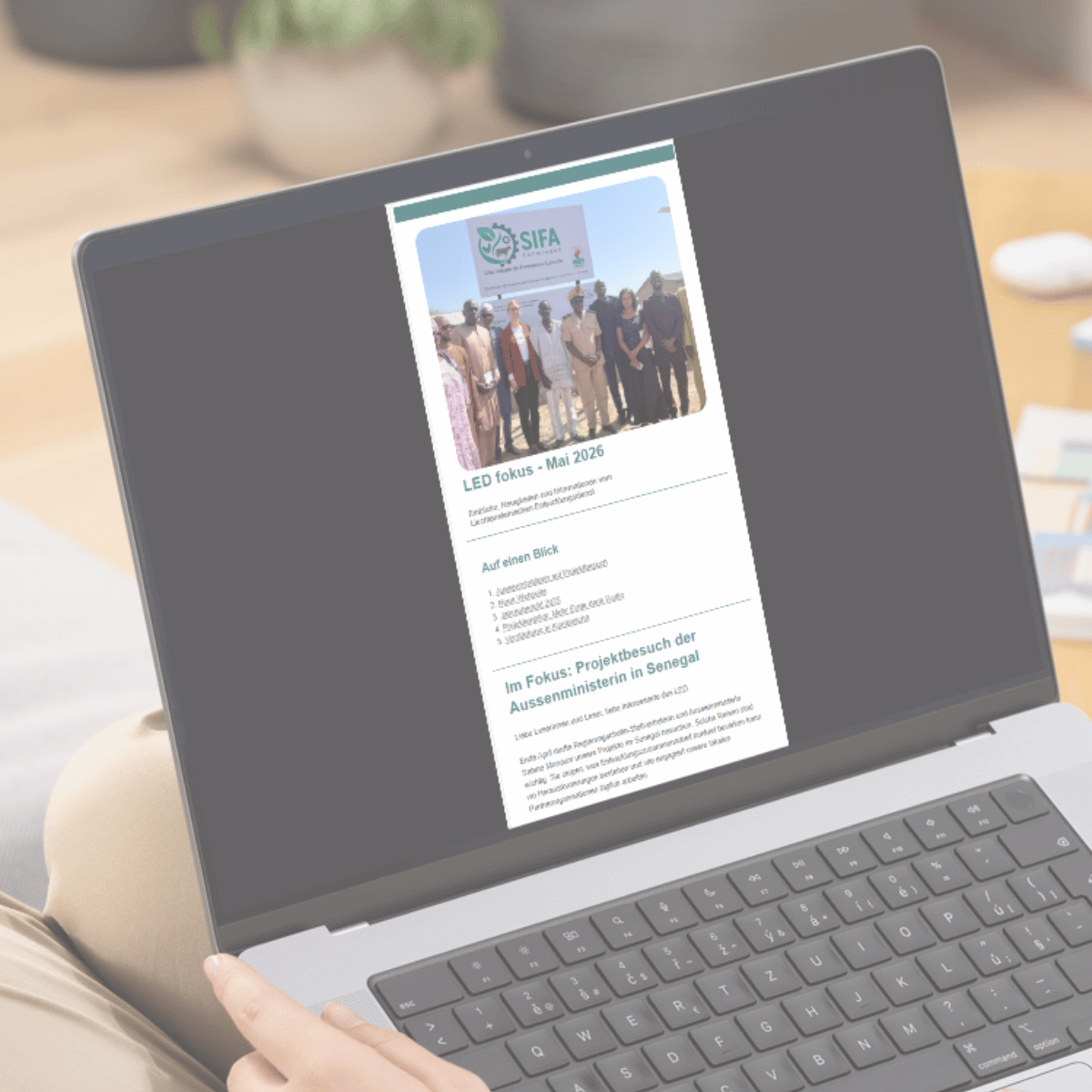 Newsletter im neuen Gewand