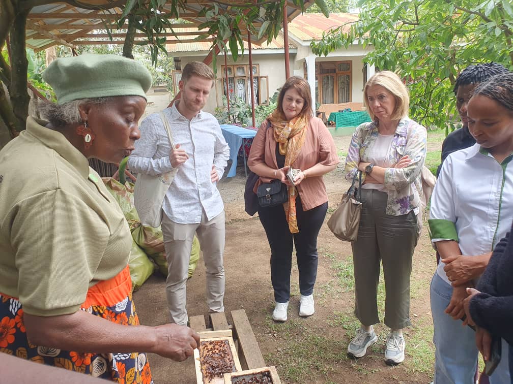 Landtagsdelegation besucht LED-Projekte in Tansania